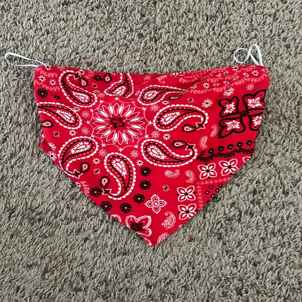 Bandana print crop top!